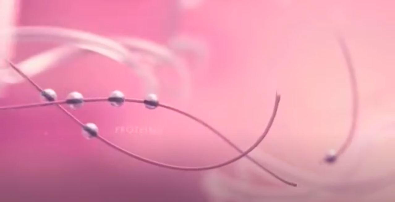 exponentielle – représentation