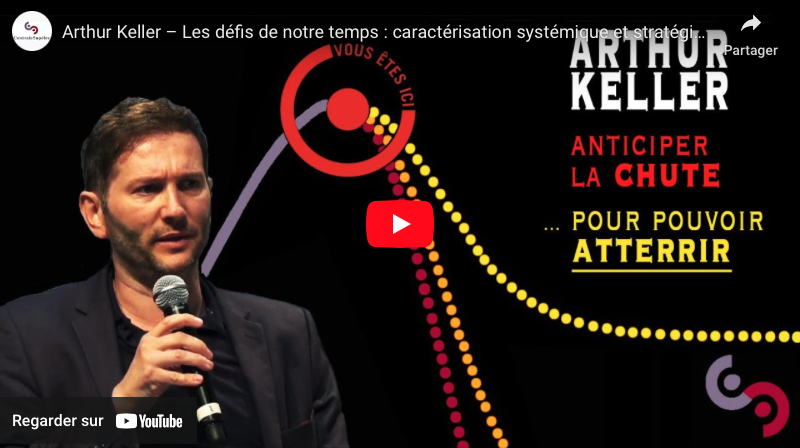 caractérisation systémique et stratégie systémique